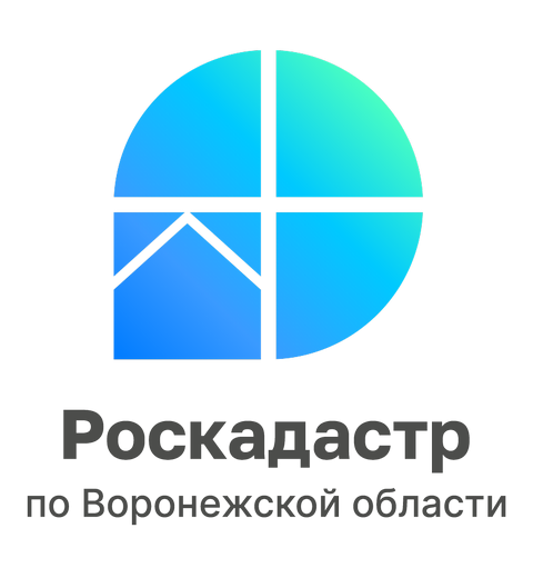 Все территориальные зоны Воронежской области, установленные ПЗЗ,  внесены в ЕГРН.